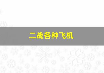 二战各种飞机