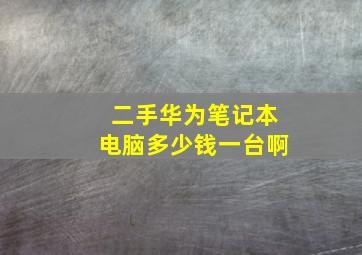 二手华为笔记本电脑多少钱一台啊