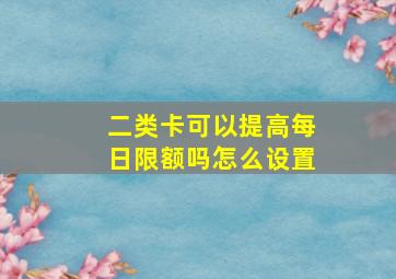 二类卡可以提高每日限额吗怎么设置