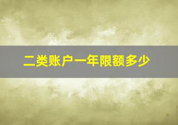 二类账户一年限额多少