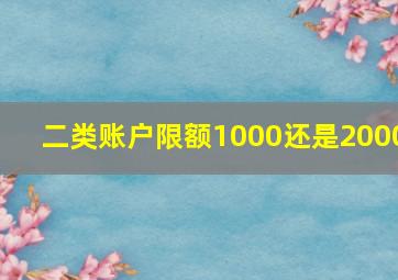 二类账户限额1000还是2000