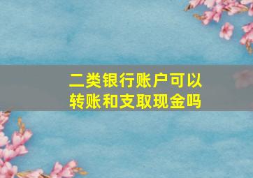 二类银行账户可以转账和支取现金吗