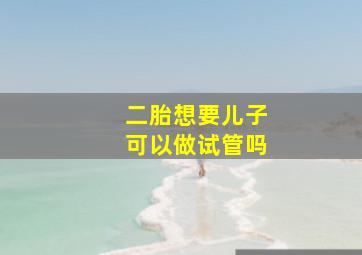 二胎想要儿子可以做试管吗