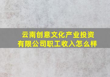 云南创意文化产业投资有限公司职工收入怎么样