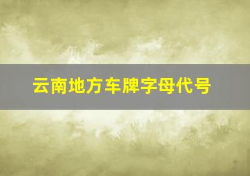 云南地方车牌字母代号