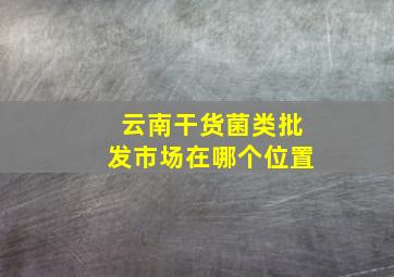 云南干货菌类批发市场在哪个位置