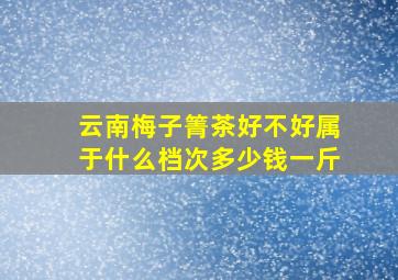 云南梅子箐茶好不好属于什么档次多少钱一斤