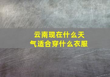 云南现在什么天气适合穿什么衣服