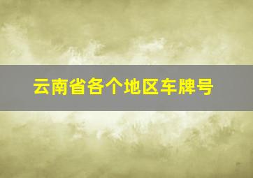 云南省各个地区车牌号