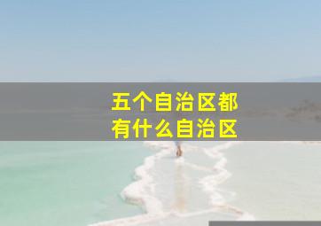 五个自治区都有什么自治区