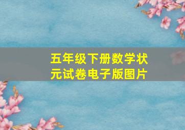 五年级下册数学状元试卷电子版图片