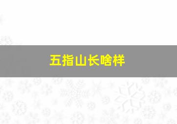 五指山长啥样