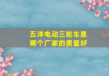 五洋电动三轮车是哪个厂家的质量好