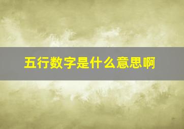 五行数字是什么意思啊