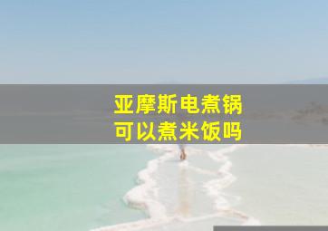 亚摩斯电煮锅可以煮米饭吗