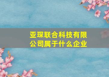 亚琛联合科技有限公司属于什么企业