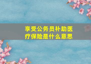 享受公务员补助医疗保险是什么意思