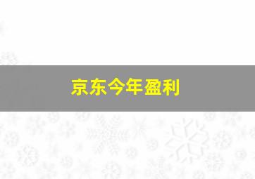 京东今年盈利