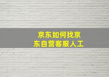 京东如何找京东自营客服人工