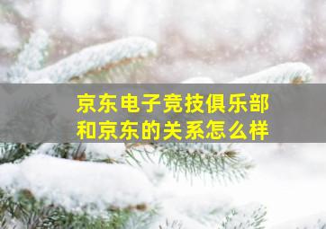 京东电子竞技俱乐部和京东的关系怎么样