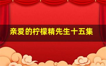 亲爱的柠檬精先生十五集