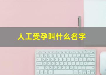 人工受孕叫什么名字