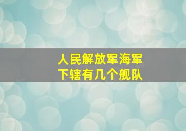 人民解放军海军下辖有几个舰队