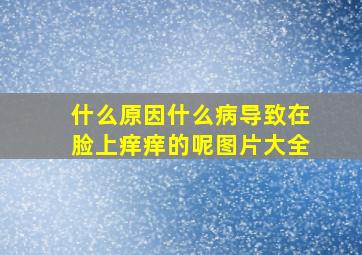 什么原因什么病导致在脸上痒痒的呢图片大全