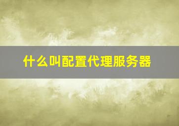 什么叫配置代理服务器