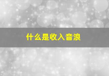 什么是收入音浪