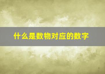 什么是数物对应的数字