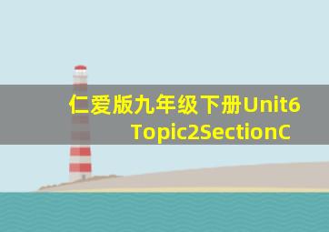 仁爱版九年级下册Unit6Topic2SectionC