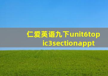 仁爱英语九下unit6topic3sectionappt