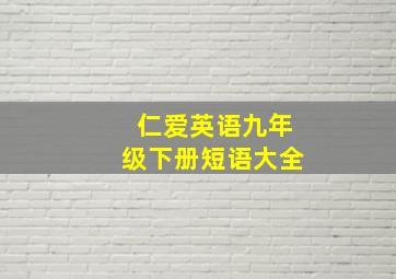 仁爱英语九年级下册短语大全