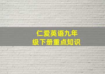 仁爱英语九年级下册重点知识