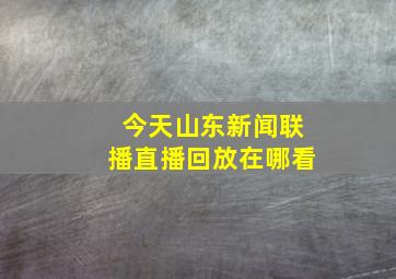 今天山东新闻联播直播回放在哪看