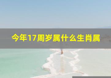 今年17周岁属什么生肖属