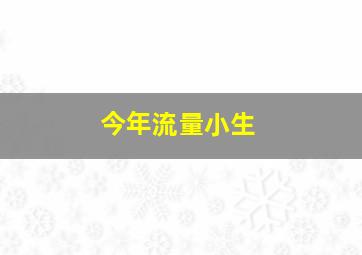 今年流量小生