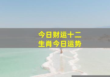 今日财运十二生肖今日运势