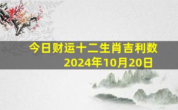 今日财运十二生肖吉利数2024年10月20日