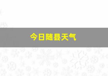 今日随县天气