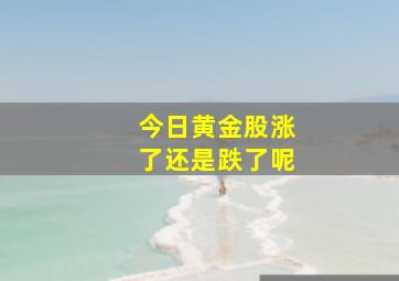 今日黄金股涨了还是跌了呢