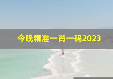 今晚精准一肖一码2023