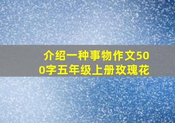 介绍一种事物作文500字五年级上册玫瑰花