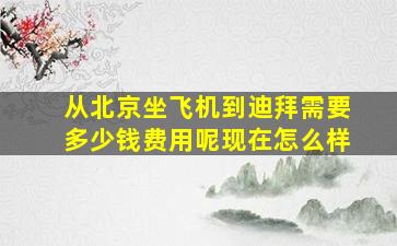 从北京坐飞机到迪拜需要多少钱费用呢现在怎么样