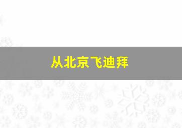 从北京飞迪拜