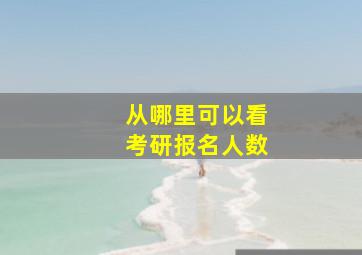 从哪里可以看考研报名人数