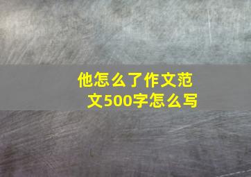 他怎么了作文范文500字怎么写