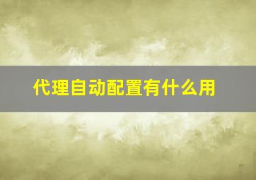 代理自动配置有什么用