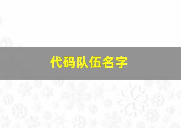 代码队伍名字